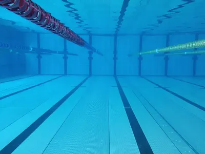 Swimmers Jarosław Kozioł